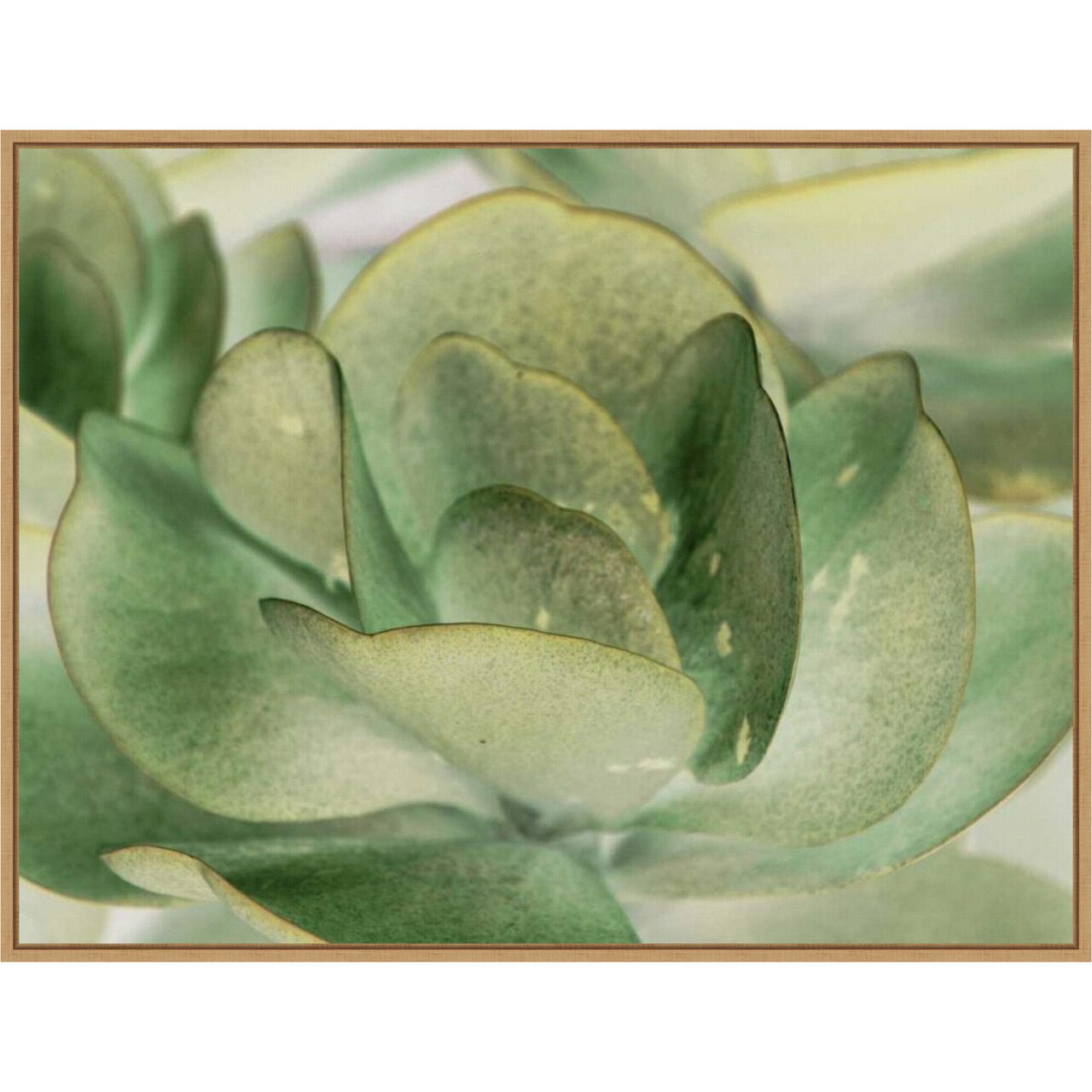 Petal I by Tang Ling 30-in. W x 23-in. H. Canvas Wall Art Print Framed in Natural